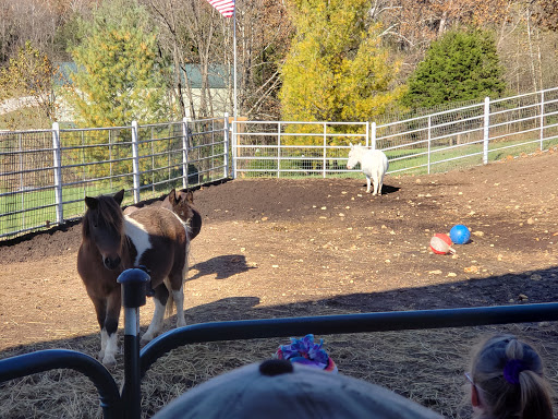 Longmeadow Rescue Ranch - Average Rating: 4.7 & 111 Votes | 480 Josephs ...